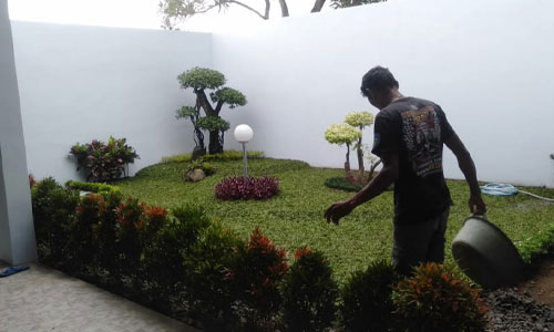 jasa taman minimalis jogja