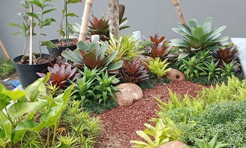 jasa taman jogja